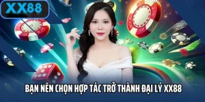 đại lý xx88 thumb